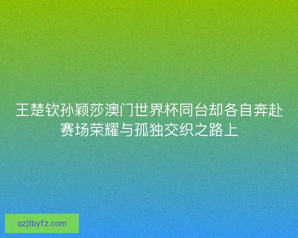 王楚钦孙颖莎澳门世界杯同台却各自奔赴赛场荣耀与孤独交织之路上
